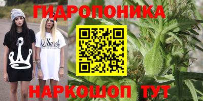 молекула духа Среднеуральск