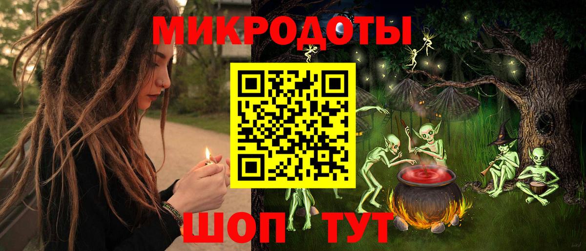 Галлюциногенные грибы Psilocybe Дятьково