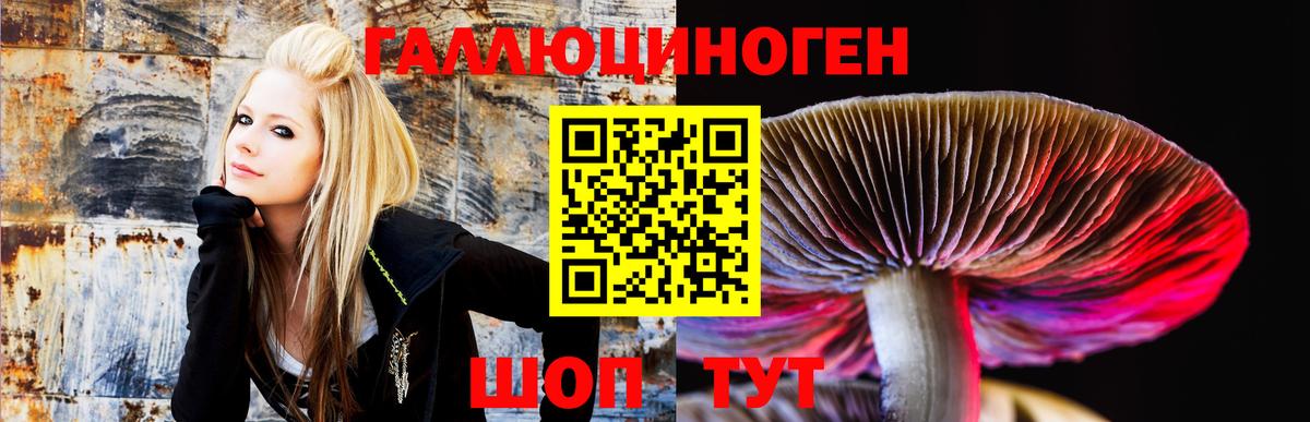 Псилоцибиновые грибы ЛСД  Вход с VPN  Дятьково 